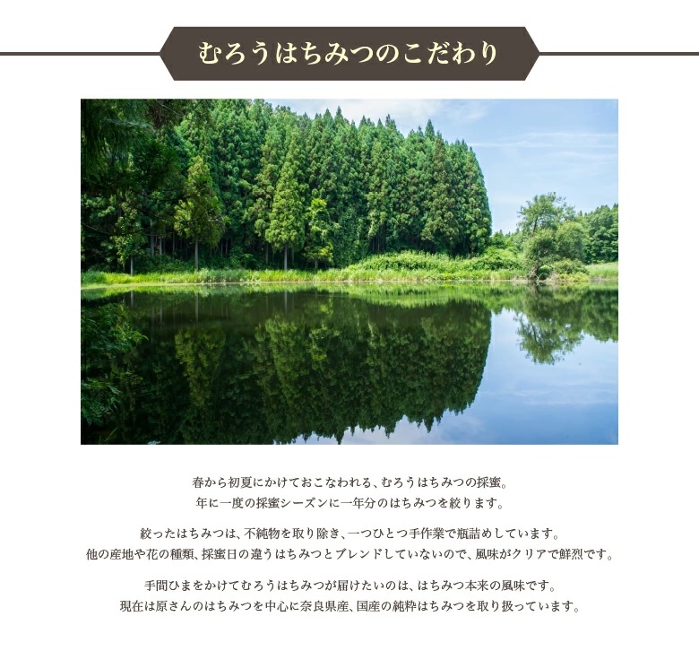 【むろうはちみつ】蜂蜜＆加工品詰め合わせセット／ふるさと納税 むろうはちみつ 奈良産はちみつ3種＆蜂蜜漬け3種＆はちみつゆずドリンク1本＆はちみつ梅ドリンク1本 プロポリス入りはちみつ当帰のど飴 母の