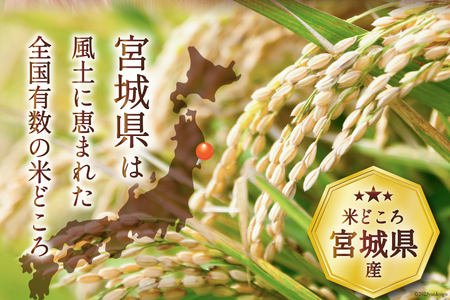 米 宮城県産 ササニシキ 5kg 