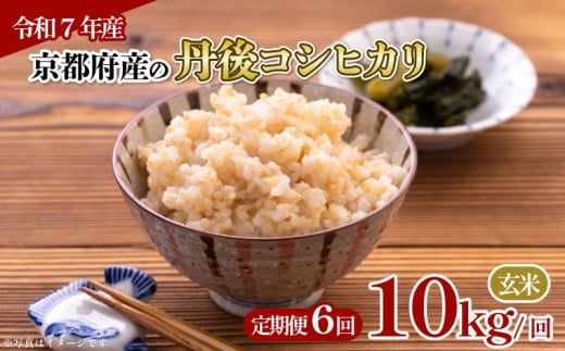 【令和7年産 新米】定期便 全6回 京都府産 丹後コシヒカリ 玄米 10kg お米 10キロ 米 こめ 国産 ブランド米 取り寄せ 京都 ごはん コシヒカリ こしひかり 6か月 6ヶ月 2025年度 JA JA京都 京都府産 京都府