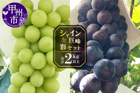甲州屋厳選 シャイン＆巨峰の彩セット 2kg以上【2025年発送】C-151 【シャインマスカット 葡萄 ぶどう ブドウ 令和7年発送 期間限定 山梨県産 甲州市 フルーツ 果物】