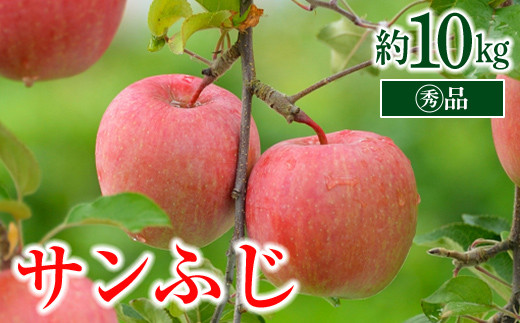 
            【令和7年産先行予約】 〈家庭用〉 りんご 「サンふじ」 約10kg (26～36玉 マル秀) パック詰 《令和7年11月中旬～発送》 『マルタニ農園』 リンゴ 山形県 南陽市 [1464]
          