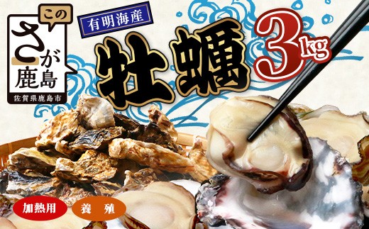 
            有明海産 養殖牡蠣3kg 冬季限定｜殻付き生牡蠣｜加熱調理用｜新鮮 佐賀県産 カキ【レンジで簡単調理】お正月 夕食 おつまみ おかず 佐賀県 鹿島市 人気 B-567
          
