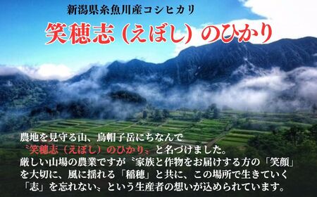 【定期便】コシヒカリ『笑穂志(えぼし)のひかり』5kg×12回 毎月お届け 全60kg（紙袋入り）令和5年産 U'ファーム【米 お米 白米 こめ コメ こしひかり 新潟県 糸魚川産 2023年産 食品