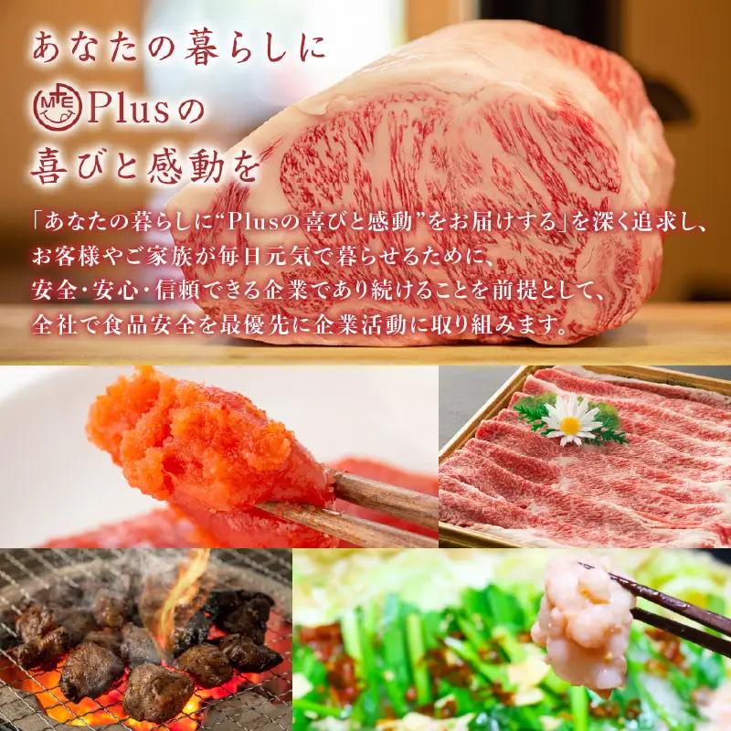 大満足！訳あり！無着色辛子明太子 並切 1kg(500g×2p） めんたいこ 明太子 辛子明太子 たらこ タラコ 並切れ 切れ子 訳あり わけあり 家庭用 福岡県 八女市 214-040
