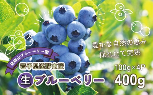ブルーベリー 生 400g 100g×4パック 岩手県 遠野市 遠野食工房蔵 / 栽培期間中 農薬不使用 無農薬 除草剤 不使用 砥森山ブルーベリー園 完熟 生ブルーベリー 【 先行予約 2025年7月初旬頃発送予定】