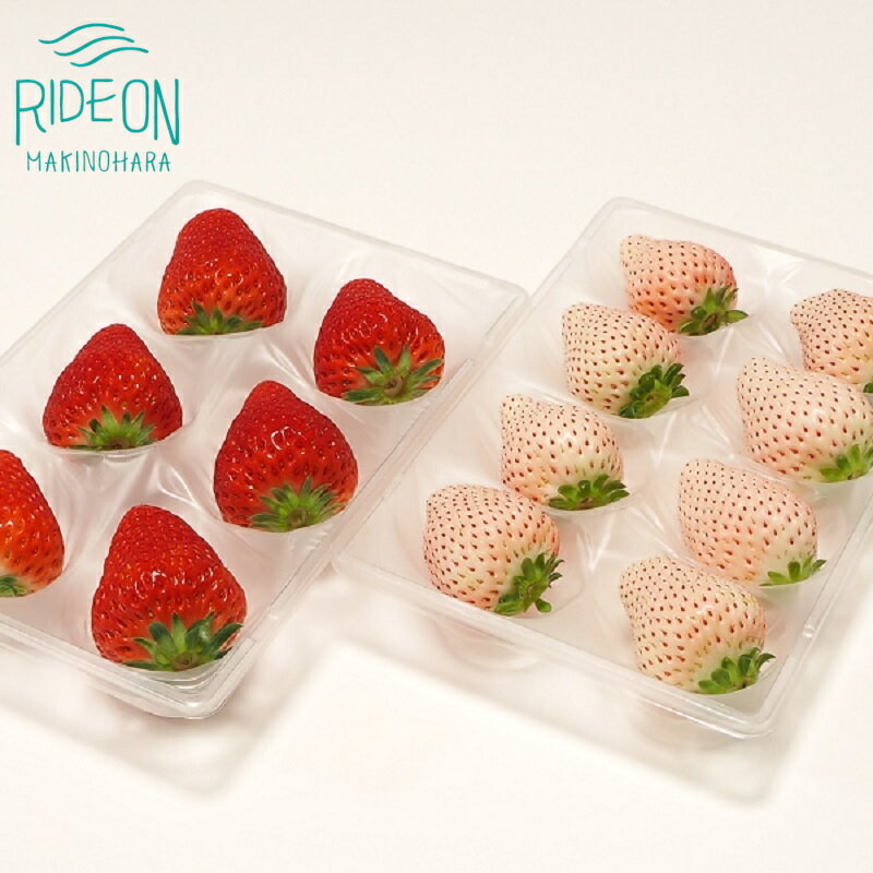 【ふるさと納税】 高級 紅白いちごセット 白いちご Sweet milk berry 200g 1パック 赤いちご 紅ほっぺ 200g 1パック いちご イチゴ 苺 ストロベリー フルーツ 果物 デザート スイーツ 贈り物 ギフト プレゼント おいしい おすすめ 農産物 産直 新鮮 牧之原市 静岡県