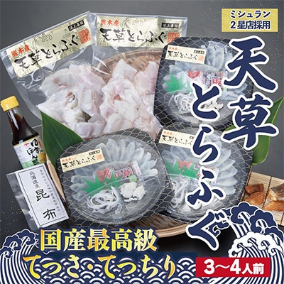 1日25セット限定!天草とらふぐてっさ・てっちり贅沢セット(3～4人前)(宇城市)【配送不可地域：離島】【1122920】