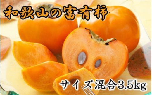 【2026年秋・発送分！】[甘柿の王様]和歌山産富有柿約3.5kgサイズ混合★2026年10月下旬頃より順次発送【tec980A】