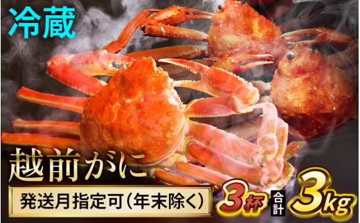【先行予約】 【2月配送】 越前がに 1kg×3杯 小浜市 / まるほ商店 【配送不可地域：北海道・沖縄・離島】[BFCS032-2]