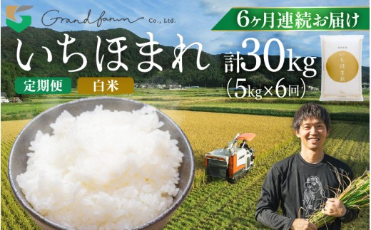 【先行予約】定期便 ≪6ヶ月連続お届け≫ 令和8年産 新米 いちほまれ 白米 5kg 【2026年10月上旬以降順次発送予定】定期 連続お届け 毎月届く 精米 福井県 美浜町産  白米 こめ コメ お米 おこめ 5キロ 10キロ おすすめ  [m46-i007]