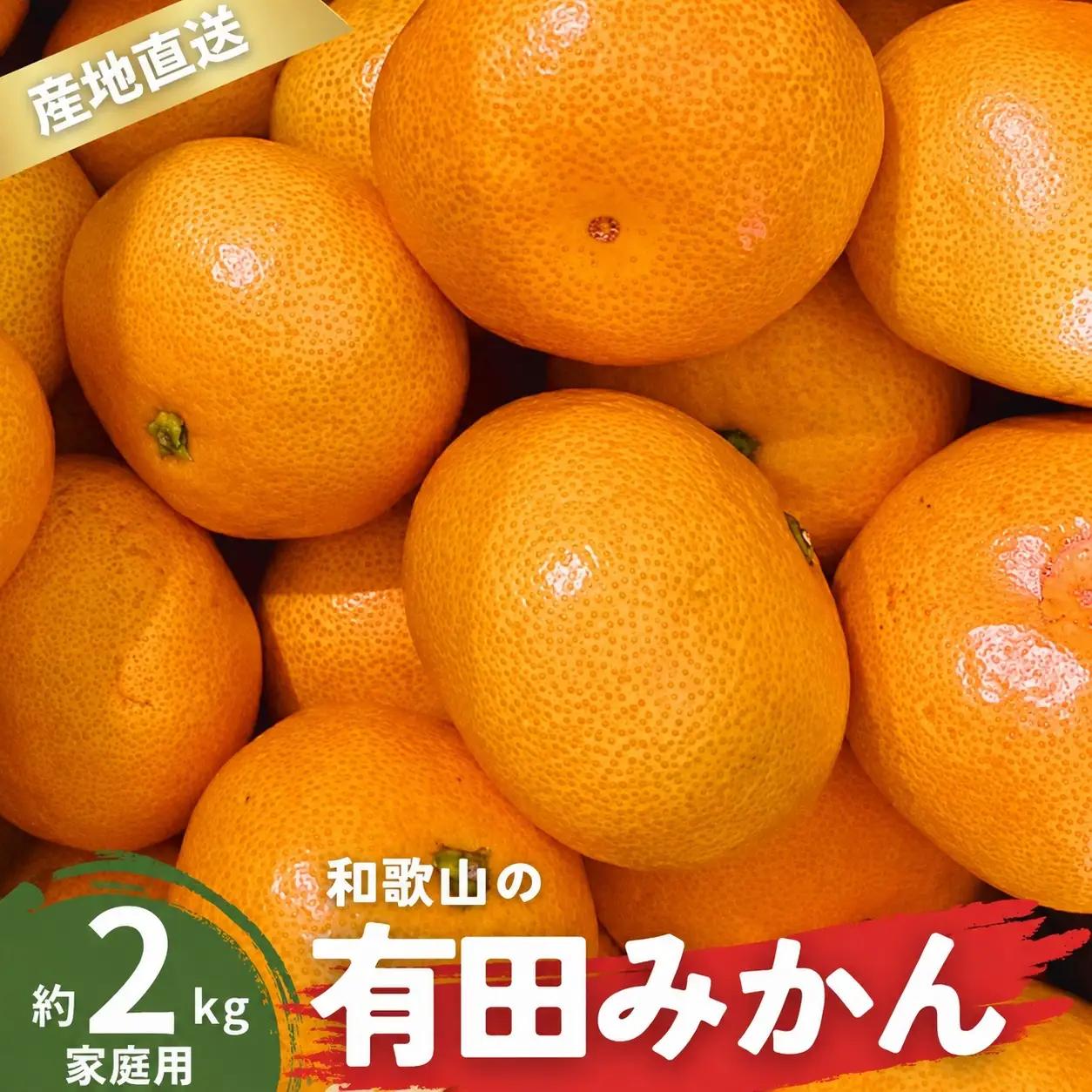 【12月発送】 家庭用 有田みかん 和歌山 訳あり わけあり S～Lサイズ 大きさお任せ 2kg / みかん フルーツ 果物 くだもの 有田みかん 蜜柑 柑橘【ktn005A-12】