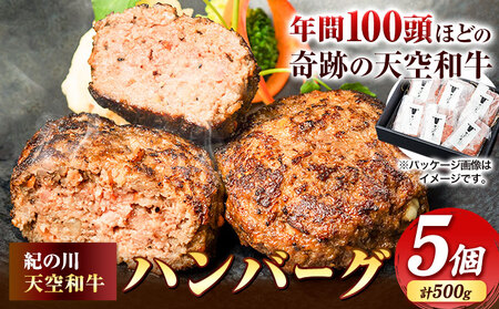 黒毛和牛 ハンバーグ 天空和牛ハンバーグ 約500g (約100g×5個) 有限会社松牛