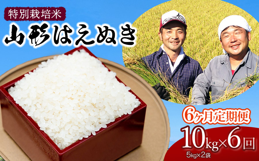 
            【令和7年産先行予約】特別栽培米 山形はえぬき精米10kg(5kg×2袋)×6ヶ月　山形県鶴岡市産　鶴岡ファーマーズ
          