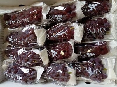 ぶどう（デラウェア）２ｋｇ　0142-2602