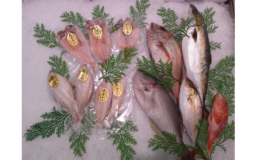 鮮魚と干魚のコラボセット 年6回定期便（偶数月配送） 定期便 6回 鮮魚詰め合わせ 鮮魚 干物 ひもの 冷蔵 お任せ セット 詰め合わせ 下処理済 一夜干し 【096_1519】