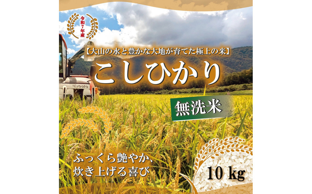 令和7年 鳥取県産 山崎農園こしひかり無洗米10kg