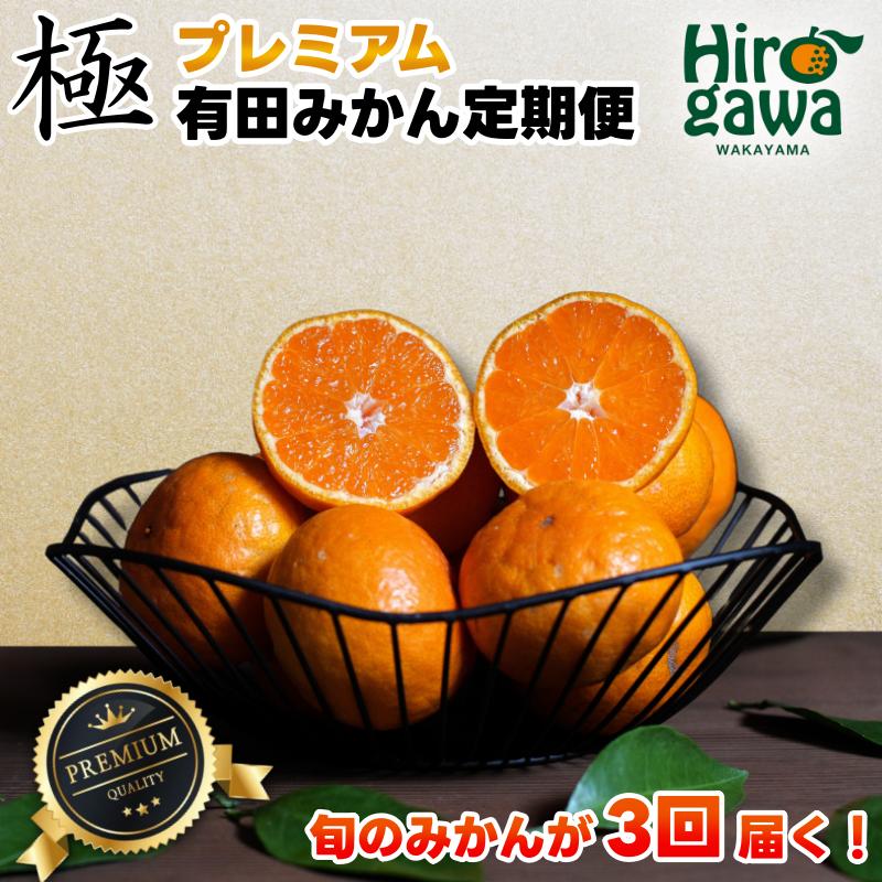 
            極プレミアム 有田 みかん 定期便 【1kg×3回】 / 温州みかん 有田みかん 甘い 厳選 高級 和歌山 有田 1kg ※北海道・沖縄・離島への配送不可
          