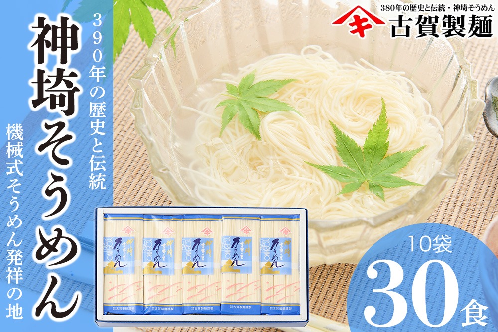 佐賀県特産品 神埼そうめん 10入 【素麺 そうめん 乾麺 お中元 贈答用 無添加 夏 自家用 麺類 簡単 手軽 保存食 佐賀県産 国産】(H014144)
