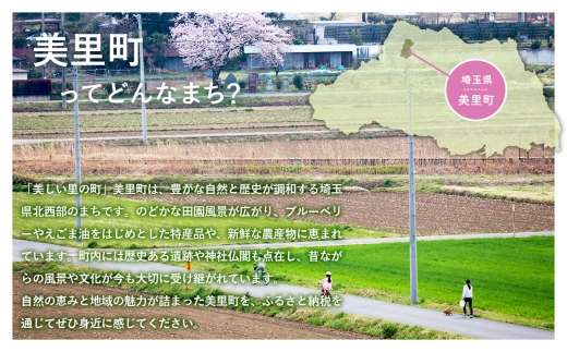 美里町産えごま油　白えごま1本　美里EGOMAファーム [No.193] ／ 白えごま油 あっさり風味 大粒えごま 搾りたて油 無添加 無農薬 コールドプレス サラダ油 料理用油 健康志向 調味料 パンやスープ 和食 洋食 ドレッシング 埼玉県