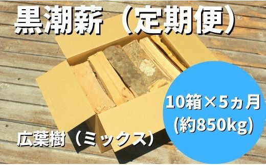 
            黒潮 薪 （ 薪 定期便 10箱×5カ月【約850kg】コース ）／11月～3月お届け［1602］
          