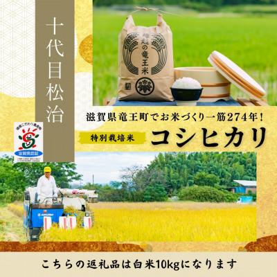 ふるさと納税 竜王町 【令和7年産】特別栽培米 十代目松治のコシヒカリ 「縁起の竜王米」 白米10kg 滋賀県産