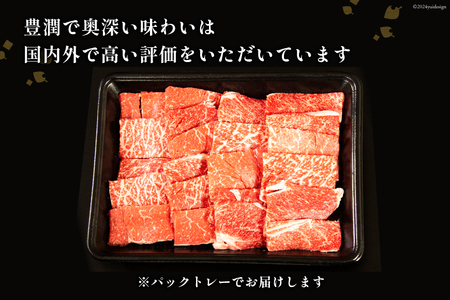 牛肉 【2024年5月発送】 宮崎牛 モモ焼肉と宮崎県産 黒毛和牛 小間切れセット(合計500g) [ミヤチク 宮崎県 日向市 452060482] 赤身 焼肉 肉 冷凍  先行予約