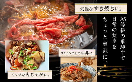 トキノ屋食品 A5等級 飛騨牛切り落とし 400g 5回お届け定期便[mt404]