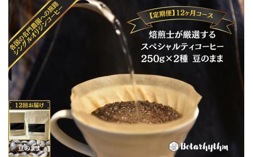 【定期便】スペシャルティコーヒー豆 焙煎士セレクト 250g×2種【豆】 12ヶ月 mi0043-0007 【コーヒー 焙煎士 浅煎り 深煎り 甘味 酸味 コク】