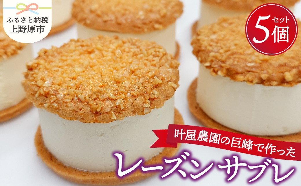 
                  叶屋農園の巨峰で作ったレーズンサブレ5個入り 洋菓子 お菓子 ケーキ ラッピング対応 新鮮卵 厳選素材 なめらか お取り寄せ 贈り物 プレゼント ギフト 冷凍配送 送料無料 ※沖縄県、離島不可 上野原市
                