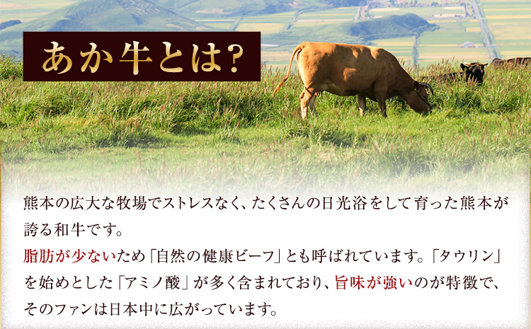 ステーキ 赤身 牛肉 サーロインステーキ 肉 あか牛 小分け 熊本県産 500g 赤牛《30日以内に出荷予定(土日祝除く)》---mna_faksir_30d_r8_13500_500g---