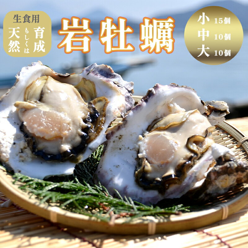【ふるさと納税】 岩がき 小/中/大 10〜15個入 3〜4kg前後 生食用 京都府 舞鶴産 牡蠣 【〜8月中頃まで発送】 訳あり 天然 育成 養殖 岩牡蠣 牡蠣 いわがき 貝 海鮮 魚介類 舞鶴湾かき小屋 美味星