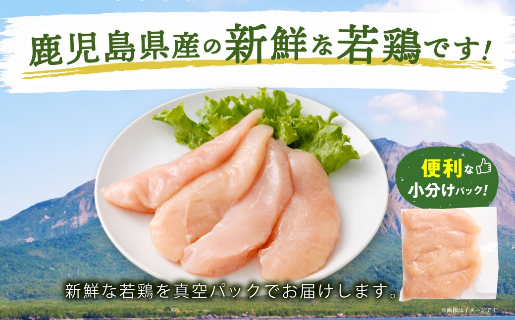 鹿児島県産 若鶏 筋なしささみ 約2.5kgセット