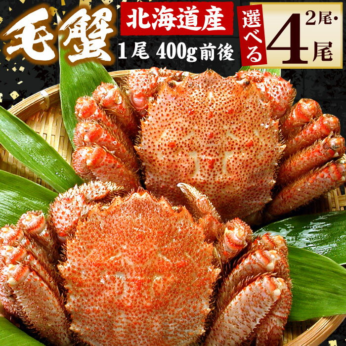 【ふるさと納税】 ボイル毛がに 400g 前後 選べる 2 尾 〜 4 尾 毛ガニ 毛蟹 かに カニ 蟹 海鮮 お取り寄せ グルメ 茹で蟹 茹でがに 茹でガニ ミソ カニミソ カニ味噌 蟹味噌 かに味噌 北海道 根室市 ふるさと納税