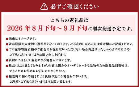 内子町産 シャインマスカット 青秀以上 3～5房入 約2kg 【2025年8月下旬～9月下旬迄発送】 【えひめの町（超）推し！（内子町）】（445）