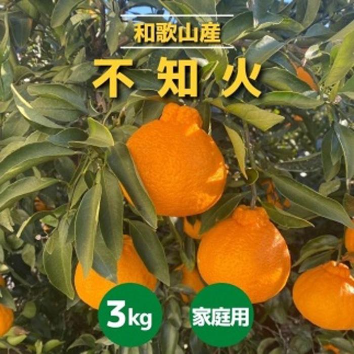 【ふるさと納税】和歌山産 不知火 約3kg ［家庭用］［US64］ | 和歌山県 印南町 和歌山 返礼品 支援 楽天ふるさと 納税 フルーツ 果物 くだもの しらぬい お取り寄せグルメ 取り寄せ グルメ 食品 お取り寄せ 特産品 自宅用 柑橘 柑橘類 ご当地 おいしい 美味しい