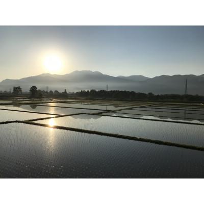 ふるさと納税 南魚沼市 【毎月定期便】南魚沼産 コシヒカリ 白米3kg全6回 |  | 01