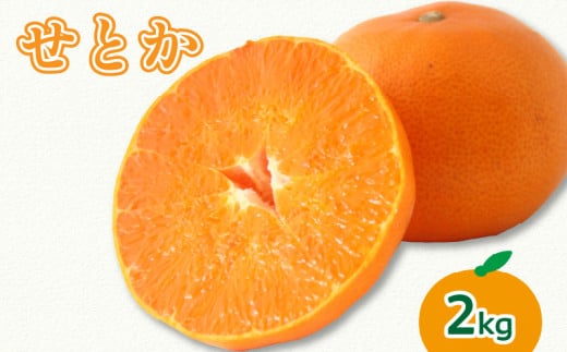【2026年3月上旬より発送】せとか 2kg