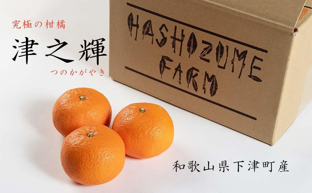 津之輝 約5kg S・M・Lサイズおまかせ 《赤秀》 和歌山県産 農園直送 まごころ産直みかん 【北海道・沖縄県・一部離島 配送不可】 つのかがやき 津の輝き 春 柑橘 果物 みかん オレンジ【Mg7】