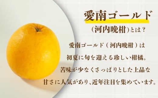 訳あり  愛南ゴールド S～Mサイズ 約8kg 河内晩柑 柑橘 フルーツ 果物 蜜柑 みかん くだもの 家庭用 傷 不揃い  サイズミックス かわち ばんかん 和製 グレープフルーツ デザート甘い ジ