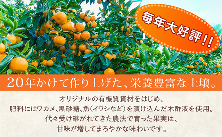 訳あり 数量限定 海藻木酢みかん 計5kg以上 傷み補償分付き フルーツ 果物 くだもの 柑橘 みかん　国産 期間限定 食品 家庭用 自宅用 B品 わけあり オレンジ デザート おやつ おすすめ おす