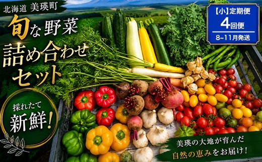 季節の野菜セット【小】定期便 4回便 8月 9月 10月 11月発送 あらいふぁーむ | 野菜 セット 詰め合わせ 旬野菜 美瑛産野菜 無農薬 多品種野菜 北海道 美瑛 美瑛町 北海道産 美瑛産 8月 4回 4ヶ月 4ヵ月 4か月[068-05]