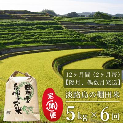 ふるさと納税 淡路市 【定期便】淡路島の棚田米 5kg×6回(隔月、偶数月発送)　ae01103
