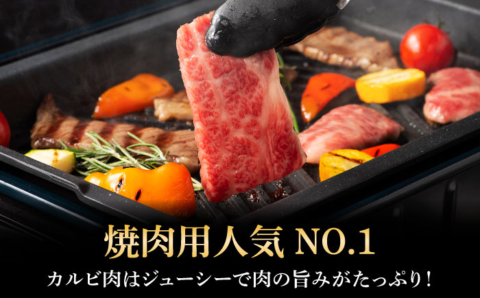 くまもと黒毛和牛「藤彩牛」バラ(カルビ)焼き肉用 約600g 1650【株式会社フジチク】 [BHAD122]