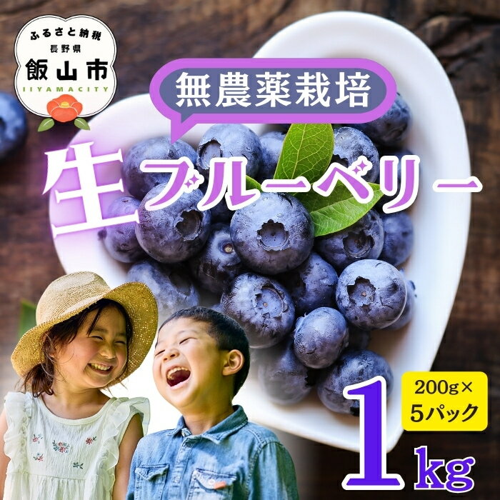 【ふるさと納税】2026年 先行予約 ＼完熟 生 ブルーベリー／ 1kg 栽培期間中 農薬不使用 完熟ブルーベリー姫 ＜出荷開始：2026年7月〜＞【長野県 飯山市 信州 おいしい オススメ 旬 フルーツ 果物 甘酸っぱい 甘い 朝摘み 朝採り 期間限定 ジャム ヨーグルト 】(Br-002)