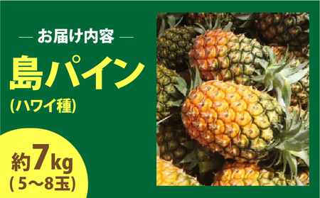 2024年 先行予約 島パイン (ハワイ種) 約7kg 5～8玉 ますみ農園 ”蜜たっぷり” パイン パイナップル 果物 フルーツ