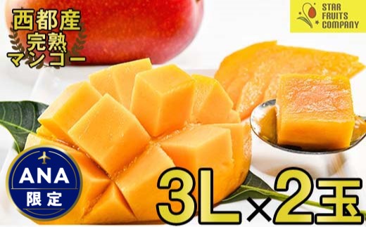 西都市産完熟マンゴー3Ｌ×2玉（約900ｇ）　スターフルーツカンパニー【先行予約】＜1.7-31＞