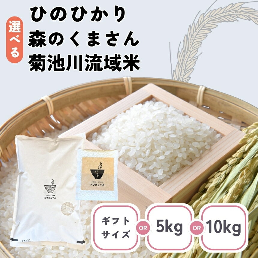 【ふるさと納税】【選べる 種類 容量 回数】 米 ひのひかり 森のくまさん 菊池川流域米 3合 5kg 10kg × 1回～6回 | 日本遺産 菊池川 玉名 熊本 送料無料