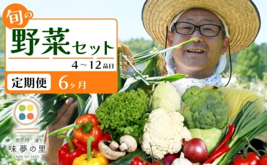 【6回定期便】 野菜セット 4~12種類 詰め合せ 季節の野菜 旬の野菜 野菜箱 野菜 定期便 定期 毎月 セット 旬 国産 おまかせ 特産品 冷蔵 BBQ お試し 春野菜 夏野菜 秋野菜 冬野菜 詰合せ 京都 京都丹波 京丹波町 道の駅 味夢の里