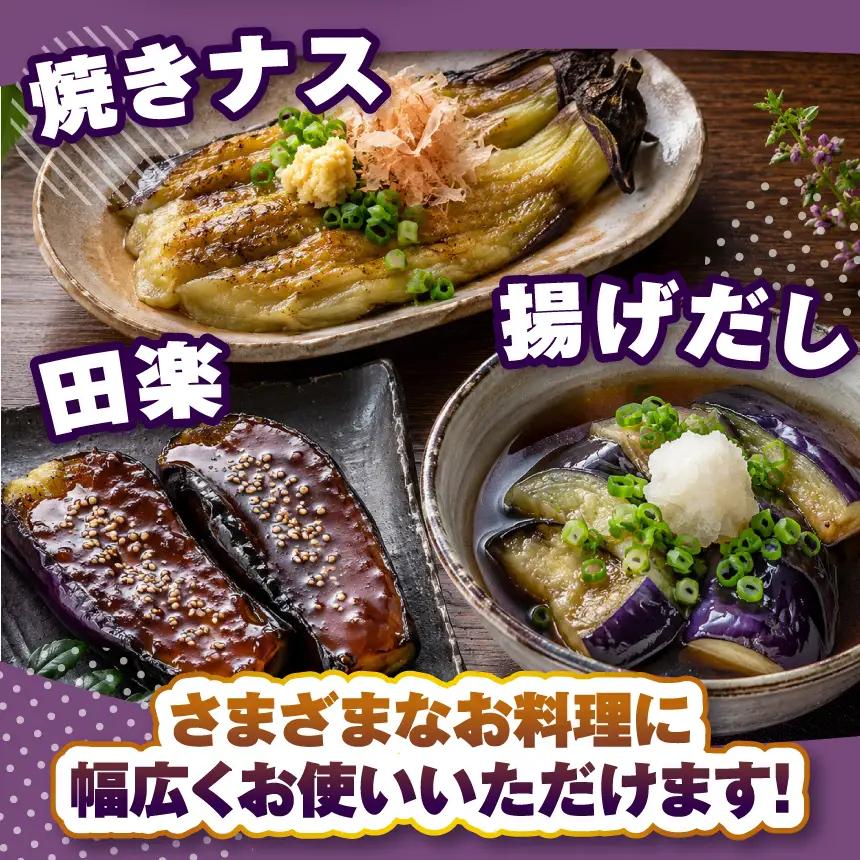 【先行予約】 令和８年８月上旬順次発送 信州伝統野菜 天龍村産ていざなす2本セット（１本450ｇ～650ｇ）☆レシピ付き☆