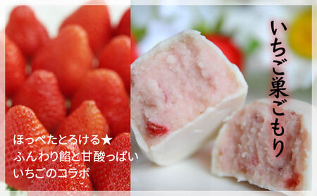 フルーツ な 巣ごもり たち 15個入 | 和菓子 お菓子 お茶請け 餡子 和風 スイーツ お土産 贈り物 長野県 飯田市 信州